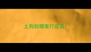 土狗到哪里打疫苗