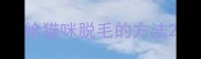给猫咪脱毛的方法