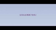拉布拉多黑鼻子变色