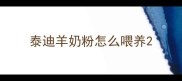 泰迪羊奶粉怎么喂养