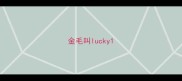 金毛叫lucky