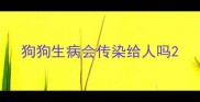 狗狗生病会传染给人吗