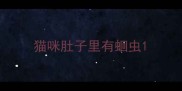 猫咪肚子里有蛔虫