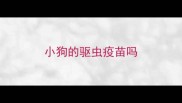 小狗的驱虫疫苗吗