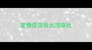 宠物疫苗后出现呕吐