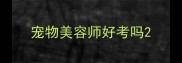 宠物美容师好考吗