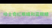 哈士奇红眼睛和蓝眼睛