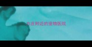 方庄附近的宠物医院