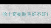 哈士奇剃胎毛好不好