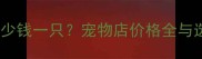 博美犬多少钱一只宠物店价格全与选购指南