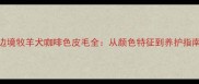 边境牧羊犬咖啡色皮毛全从颜色特征到养护指南