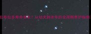 拉布拉多寿命多长从幼犬到老年的全周期养护指南