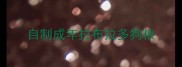 自制成年拉布拉多狗粮