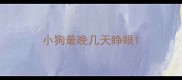 小狗最晚几天睁眼