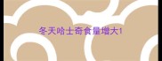 冬天哈士奇食量增大