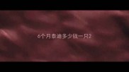 6个月泰迪多少钱一只