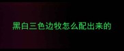 黑白三色边牧怎么配出来的