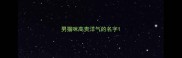 男猫咪高贵洋气的名字