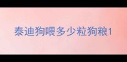 泰迪狗喂多少粒狗粮