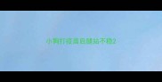 小狗打疫苗后腿站不稳