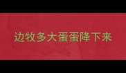 边牧多大蛋蛋降下来