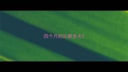 四个月的比熊多大