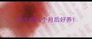 哈士奇几个月后好养
