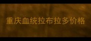 重庆血统拉布拉多价格