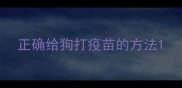 正确给狗打疫苗的方法
