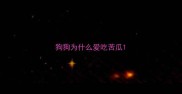 狗狗为什么爱吃苦瓜