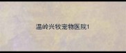 温岭兴牧宠物医院