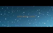 拉布拉多战斗力如何