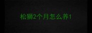 松狮2个月怎么养