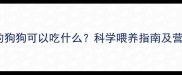 三个月大的狗狗可以吃什么科学喂养指南及营养需求全