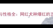 哈士奇颜值与性格全网红犬种爆红的五大核心要素