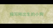 描写刚出生的小狗