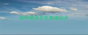 如何挑选灰色泰迪幼犬