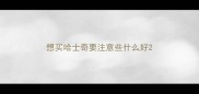 想买哈士奇要注意些什么好