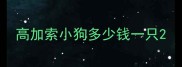 高加索小狗多少钱一只