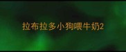 拉布拉多小狗喂牛奶