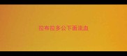 拉布拉多公下面流血