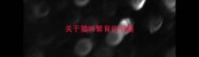 关于猫咪繁育的书籍
