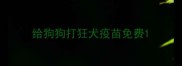 给狗狗打狂犬疫苗免费
