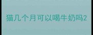 猫几个月可以喝牛奶吗