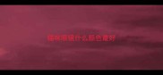 猫咪眼镜什么颜色最好