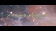 哈士奇寿命大概是多久