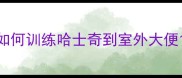 如何训练哈士奇到室外大便