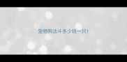 宠物狗法斗多少钱一只