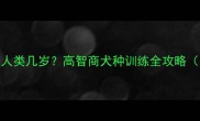 哈士奇智商相当于人类几岁高智商犬种训练全攻略附科学训练指南