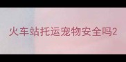 火车站托运宠物安全吗